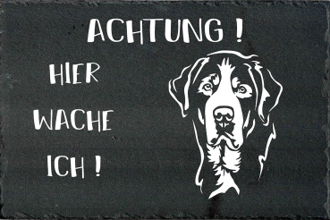 Schieferplatte Großer Schweizer Sennenhund