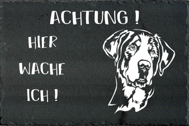 Schieferplatte Großer Schweizer Sennenhund