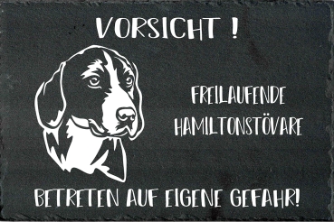 Schieferplatte Hamiltonstövare