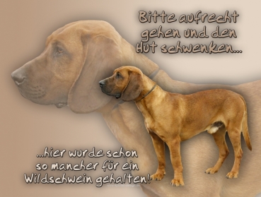 Hundewarnschild Hannoverscher Schweißhund #1