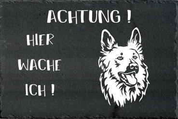 Schieferplatte Harzer Fuchs