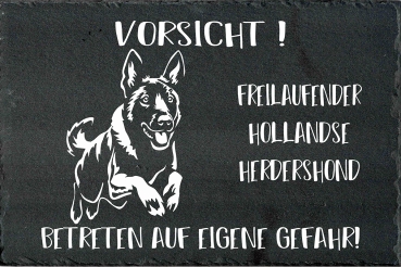 Schieferplatte Hollandse Herder