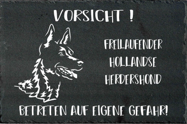 Schieferplatte Hollandse Herder