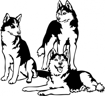 Autoaufkleber "Siberian Huskies" Kontur