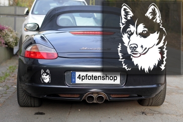 Autoaufkleber "Siberian Husky" Kopf