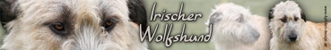 Aufkleber Irischer Wolfshund (Irish Wolfhound) #2