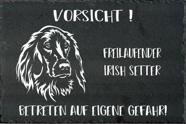 Schieferplatte Irish Setter