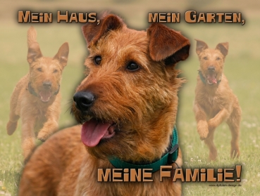 Hundewarnschild Irish Terrier #2