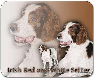 Mousepad Irish Red and White Setter #1