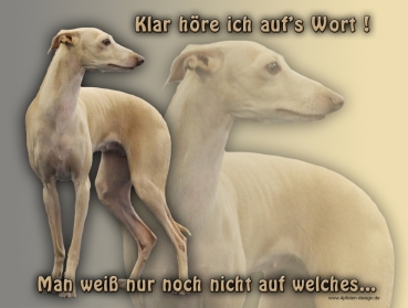 Hundewarnschild Italienisches Windspiel #2