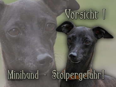 Hundewarnschild Italienisches Windspiel #7