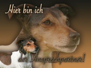 Hundewarnschild Jack Russell Terrier #5