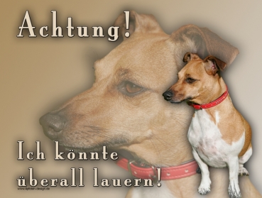 Hundewarnschild Jack Russell Terrier #8