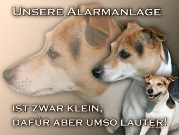 Hundewarnschild Jack Russell Terrier #9