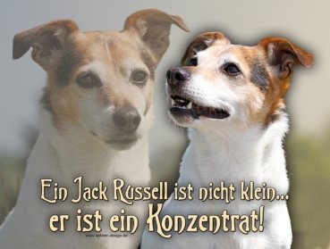 Hundewarnschild Jack Russell Terrier #13