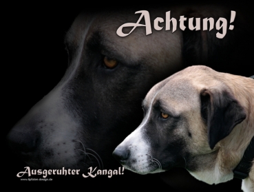 Hundewarnschild Kangal (Anatolischer Hirtenhund) #1