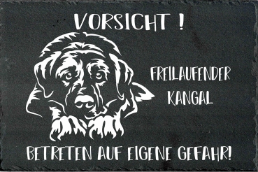 Schieferplatte Kangal