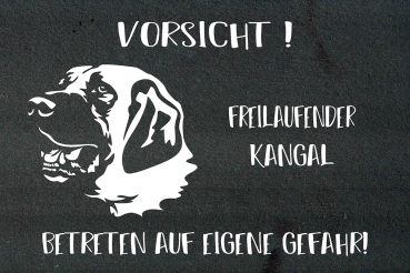 Schieferplatte Kangal