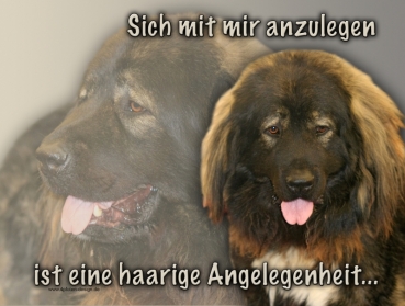 Hundewarnschild Kaukasischer Owtscharka #1