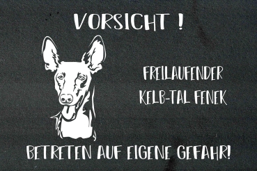 Schieferplatte Kelb-tal Fenek (Pharaohund)