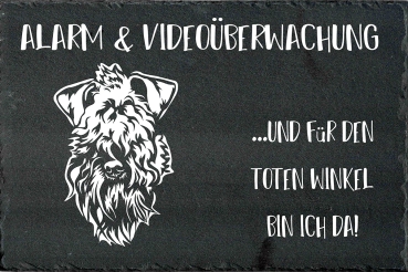 Schieferplatte Kerry Blue Terrier