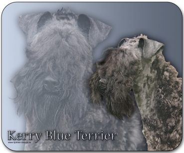 Mousepad Kerry Blue Terrier #1