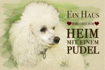 Nostalgieschild - Hundeschild im Retrostil Motiv: Kleinpudel #2