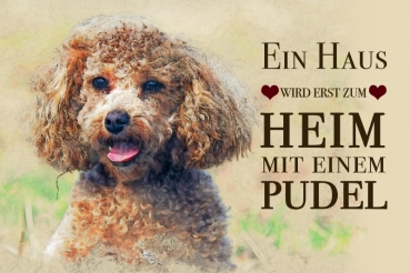 Nostalgieschild - Hundeschild im Retrostil Motiv: Kleinpudel #3