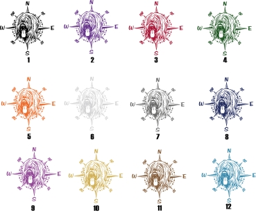 Aufkleber "Briard" Kopf mit Windrose/Kompass