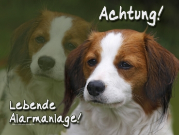 Hundewarnschild Kooikerhondje #1