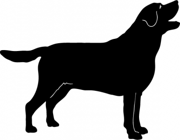 Autoaufkleber Labrador stehend Silhouette