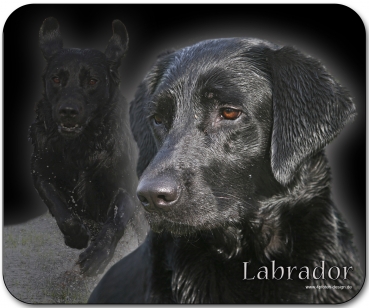 Mousepad Labrador #3