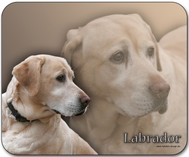 Mousepad Labrador #4