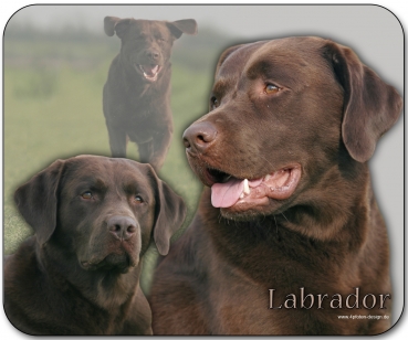 Mousepad Labrador #5