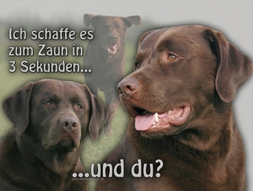 Hundewarnschild Labrador #11