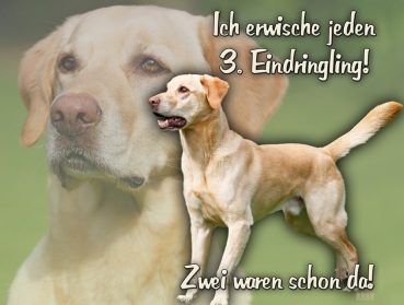 Hundewarnschild Labrador #14