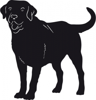 Autoaufkleber Labrador stehend Silhouette