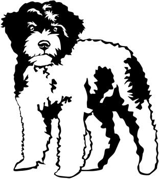 Autoaufkleber "Lagotto Romagnolo" Kontur