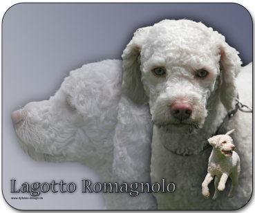 Mousepad Lagotto Romagnolo (Trüffelhund) #1