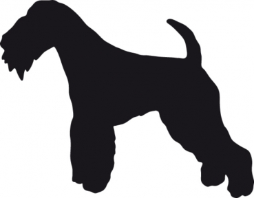 Lakeland Terrier stehend Silhouette