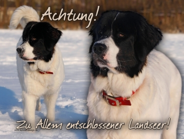 Hundewarnschild Landseer #1