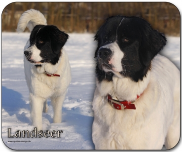 Mousepad Landseer #1