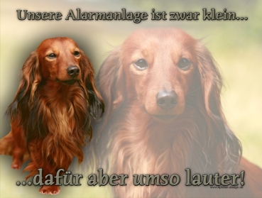 Hundewarnschild Langhaardackel #4