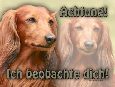 Hundewarnschild Langhaardackel #2