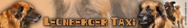 Aufkleber Leonberger #1