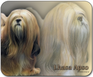 Mousepad Lhasa Apso #1