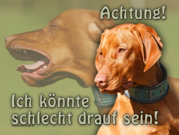 Hundewarnschild Magyar Vizsla #4