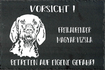 Schieferplatte Magyar Vizsla (Drahthaar)