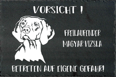 Schieferplatte Magyar Vizsla