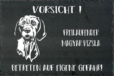 Schieferplatte Magyar Vizsla (Drahthaar)